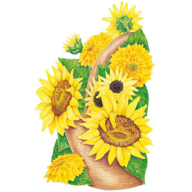 Sunflower Dwarf Elves Blend Seeds seed packet photo