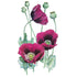 Poppy bread seed Lauren&