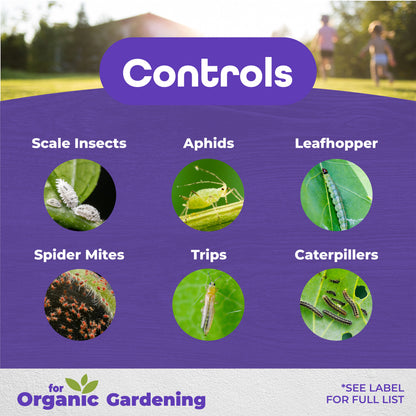 Horticultural &amp; Dormant Oil QT concentrate