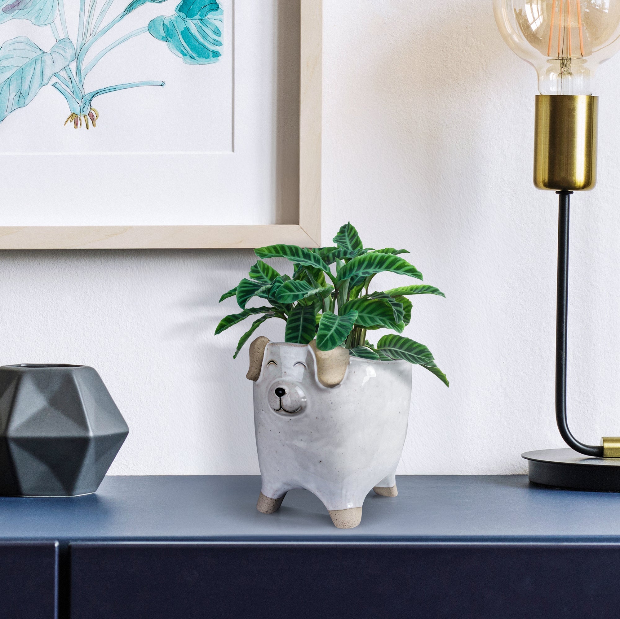 Dog Cachepot product photo