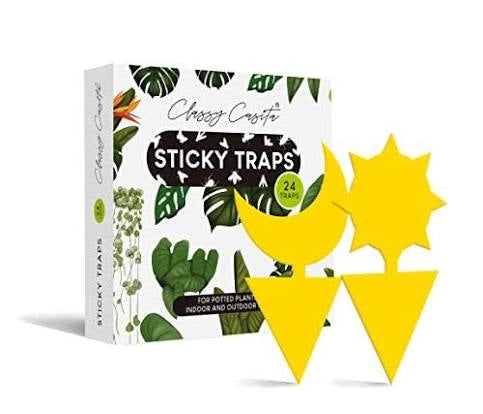 Sticky Trap 24 traps