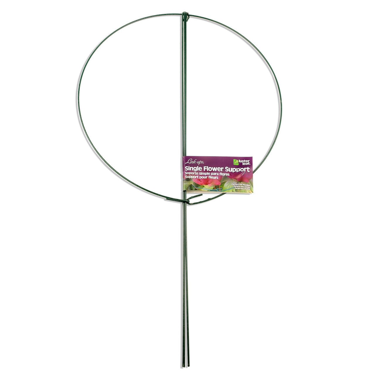 Large single support 18” ring product photo