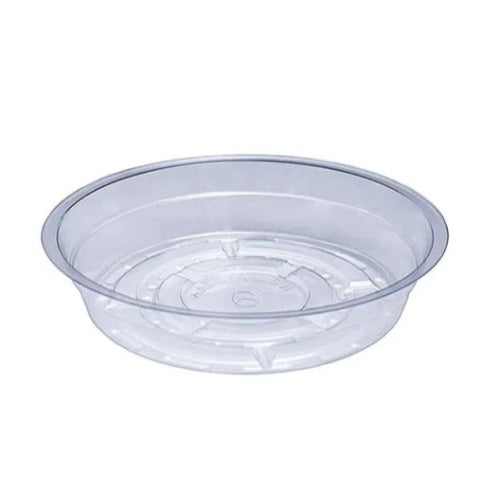6" Clear Plant Saucer product photo