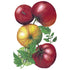Tomato Cherokee Purple Organic Deed seed packet photo