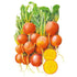 Beet Touchstone Gold Seed Packet seed packet photo