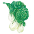 Bok Choy Baby Choi Seed Packet seed packet photo