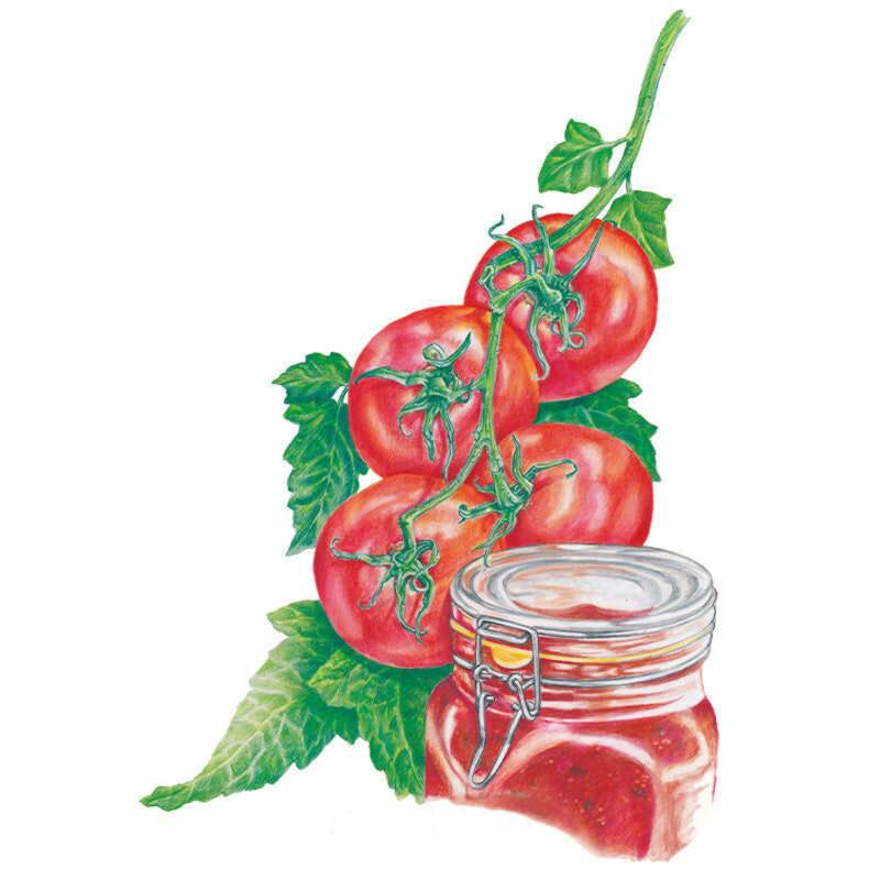 Tomato Ace 55 Seed Packet seed packet photo