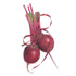 Beet Detroit DK Red Seed Packet seed packet photo