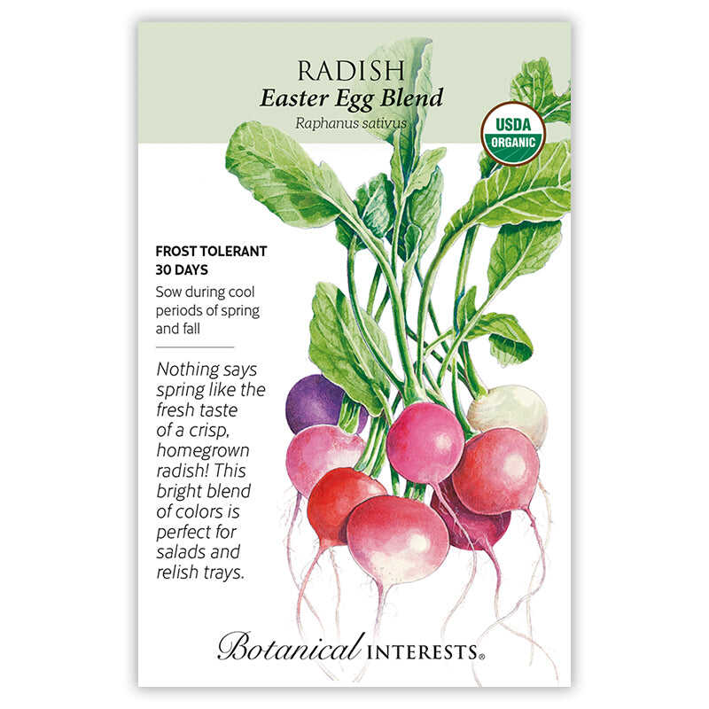 Radish Easter Egg Organic seed packet photo