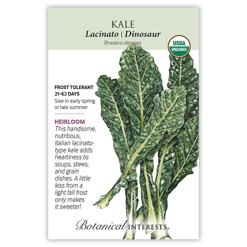 Botanical Interests Lacinato Kale Seeds - Thumbnail 5