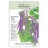 Bean Bush Royal Burgundy Organic Seed Packet seed packet photo