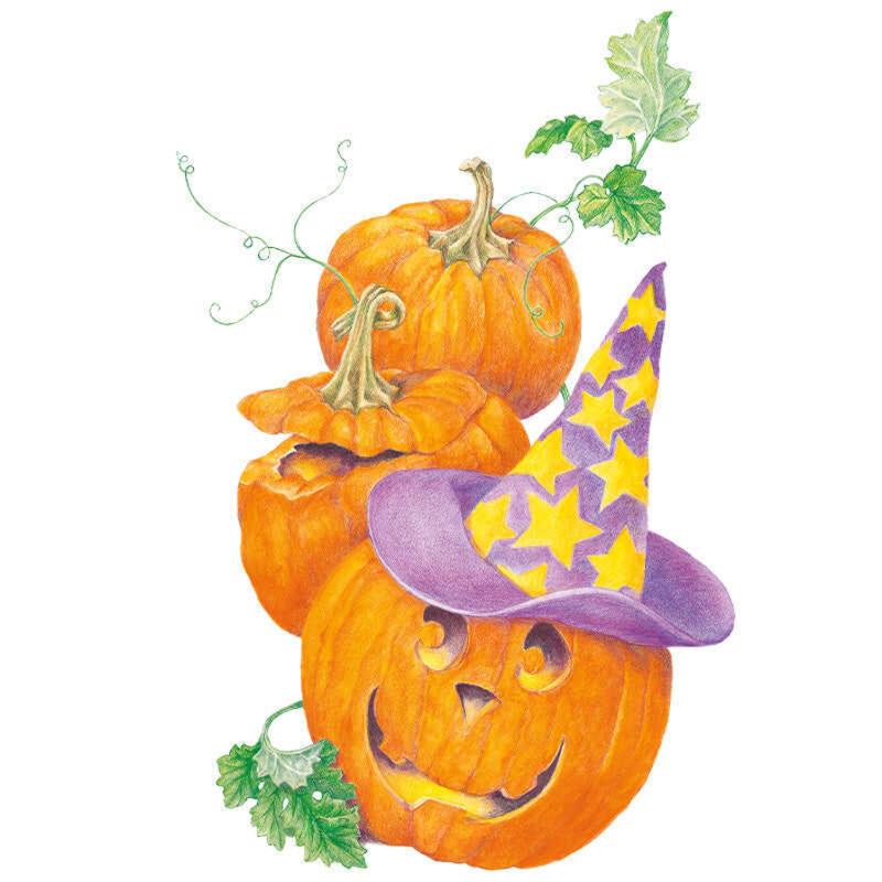 Pumpkin Howden seed packet photo