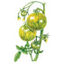 Tomato Green Zebra Seed Packet seed packet photo
