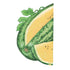 Watermelon Mountain Sweet Yellow Seed Packet seed packet photo