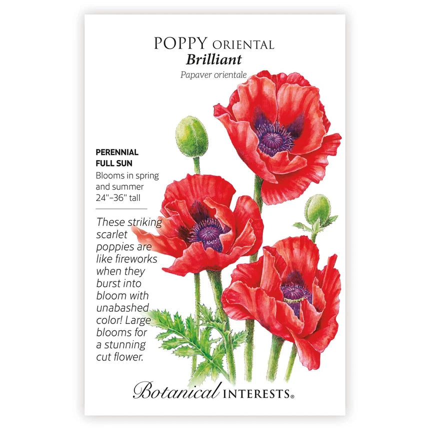 Poppy Oriental Brilliant Seed Packet