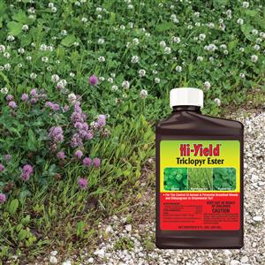 Triclopyr Ester 8 oz Concentrate