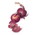 Onion Monastrell seed packet photo
