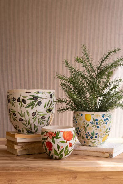 Lemon Cement Planter
