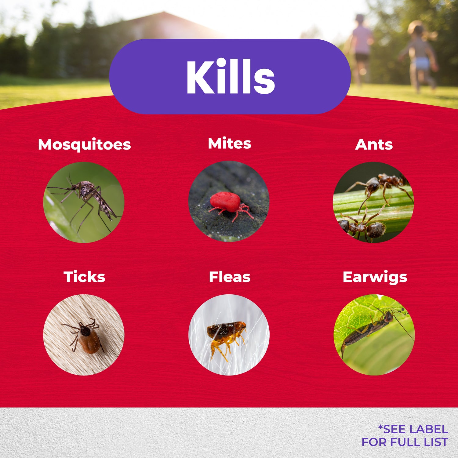 Eight Insect Control 32 oz RTS