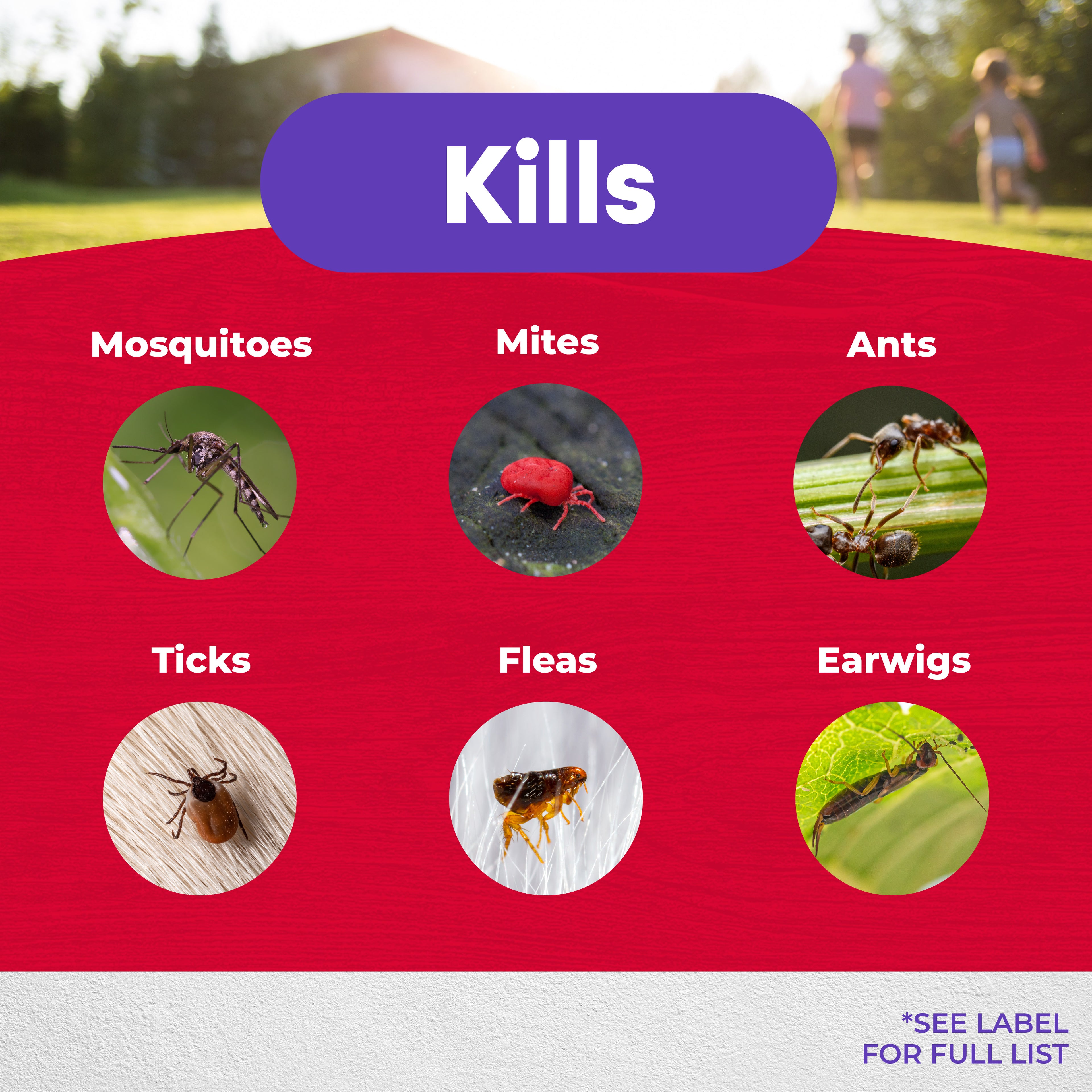 Eight Insect Control 32 oz RTS