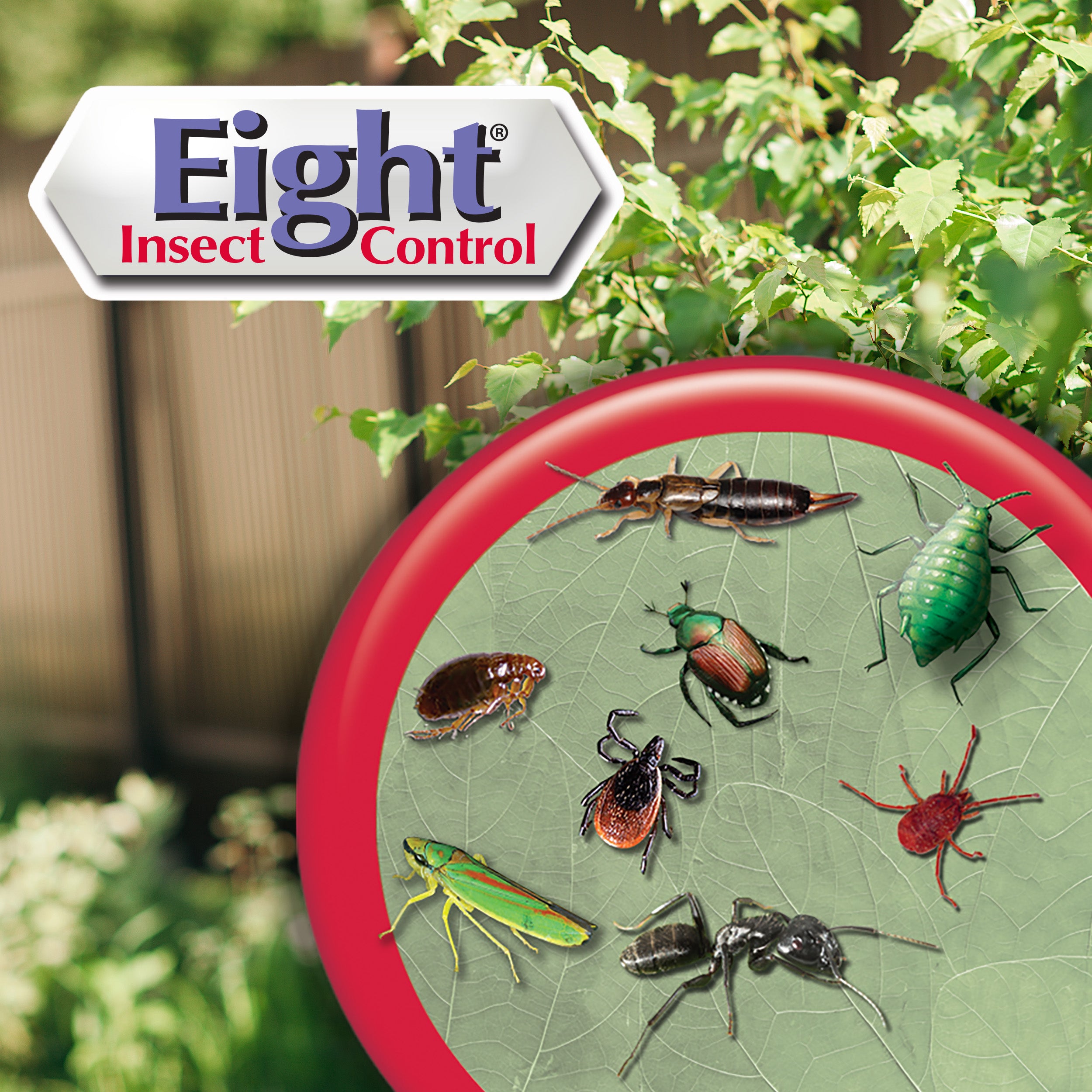 Eight Insect Control 32 oz RTS