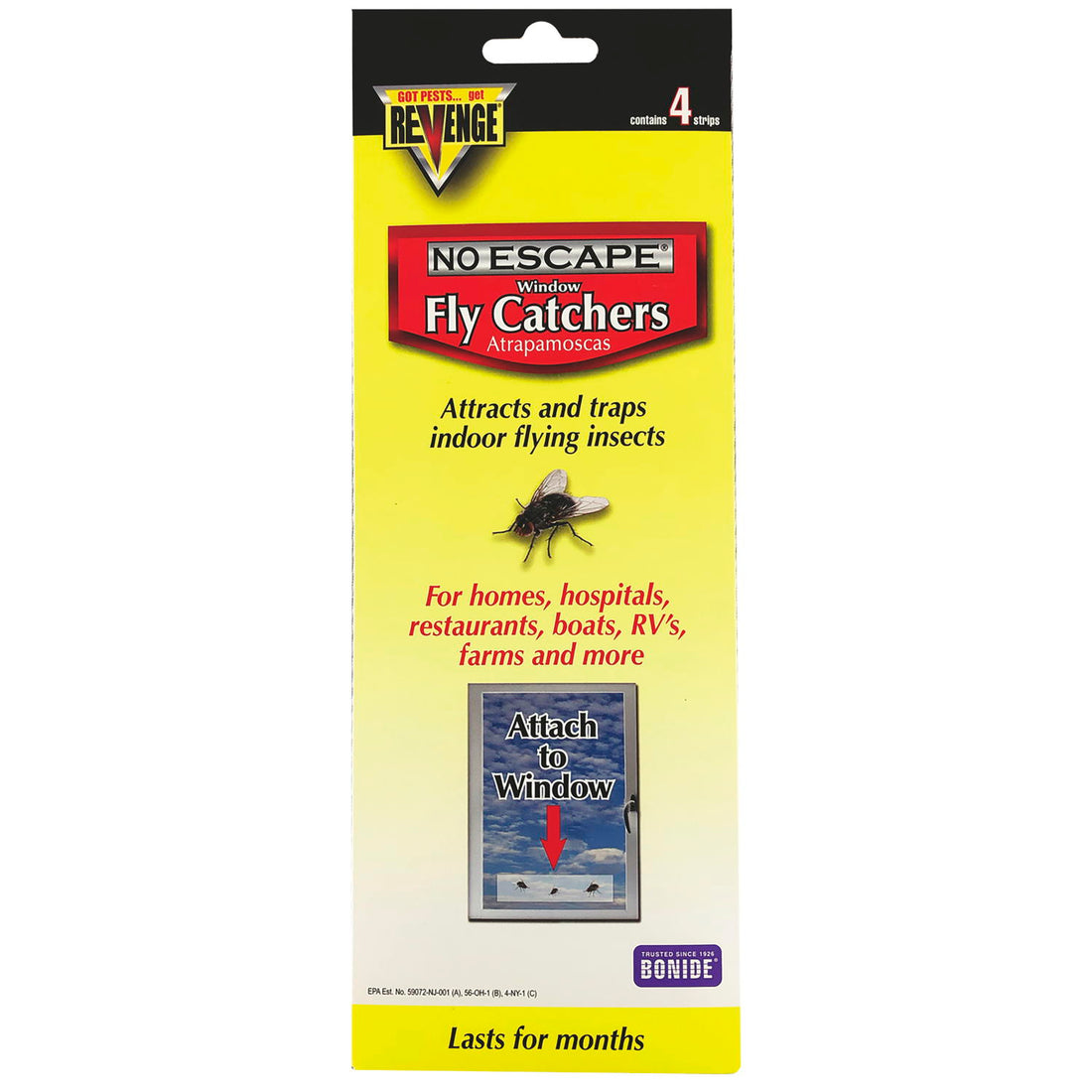 No Escape Fly Catcher Trap