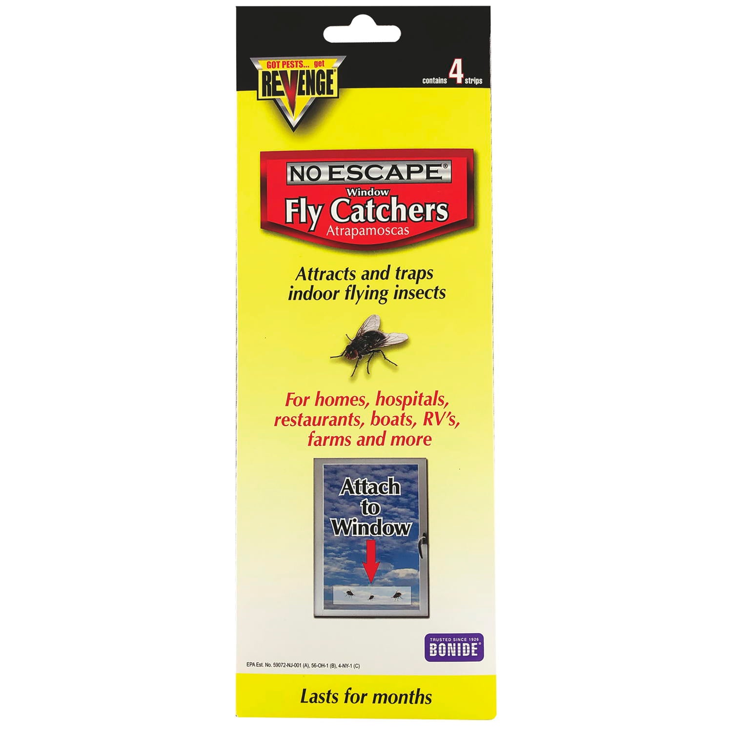 No Escape Fly Catcher Trap
