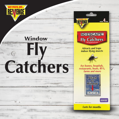 No Escape Fly Catcher Trap