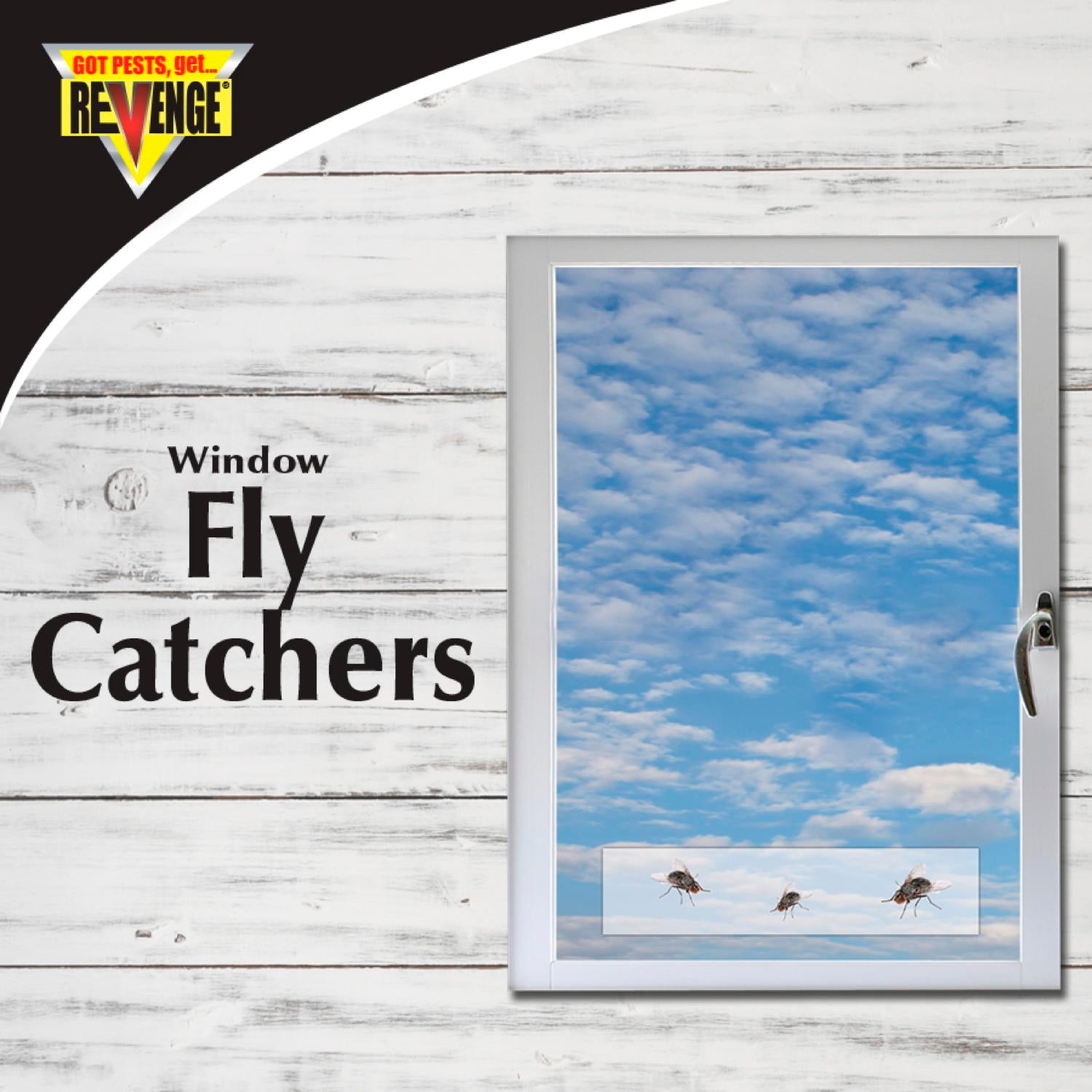 No Escape Fly Catcher Trap