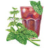 Lemon Balm Seed Packet seed packet photo