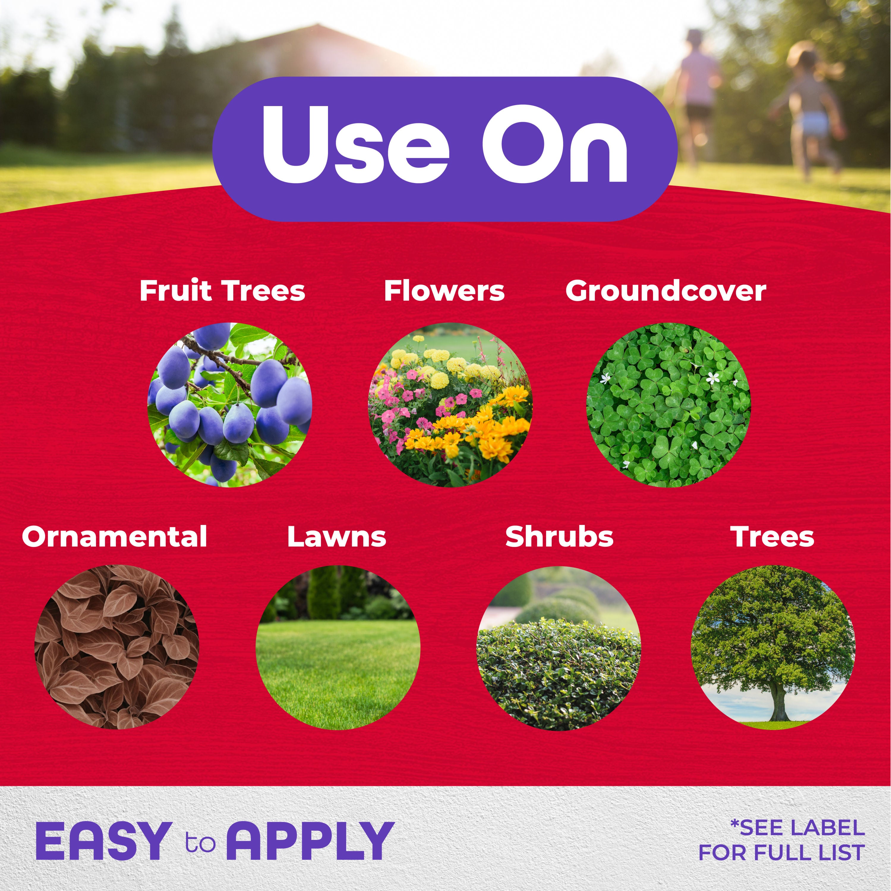 Annual Tree &amp; Shrub Insect Control