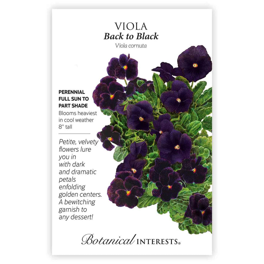 Viola Back to Black Seed Packet