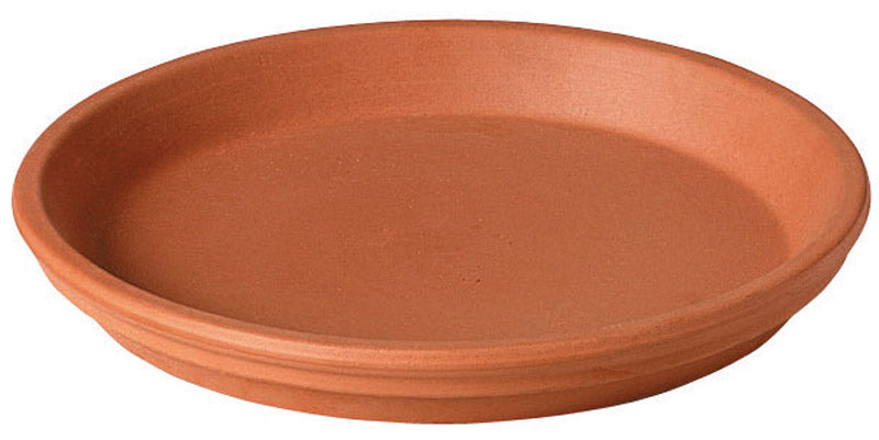 6" Saucer product photo