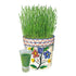 Wheatgrass Juice Seed Packet seed packet photo