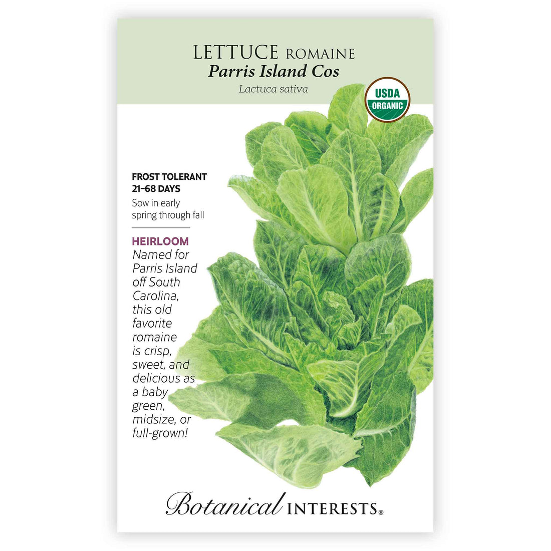 Lettuce Paris Island Cos Organic 4g seed packet photo