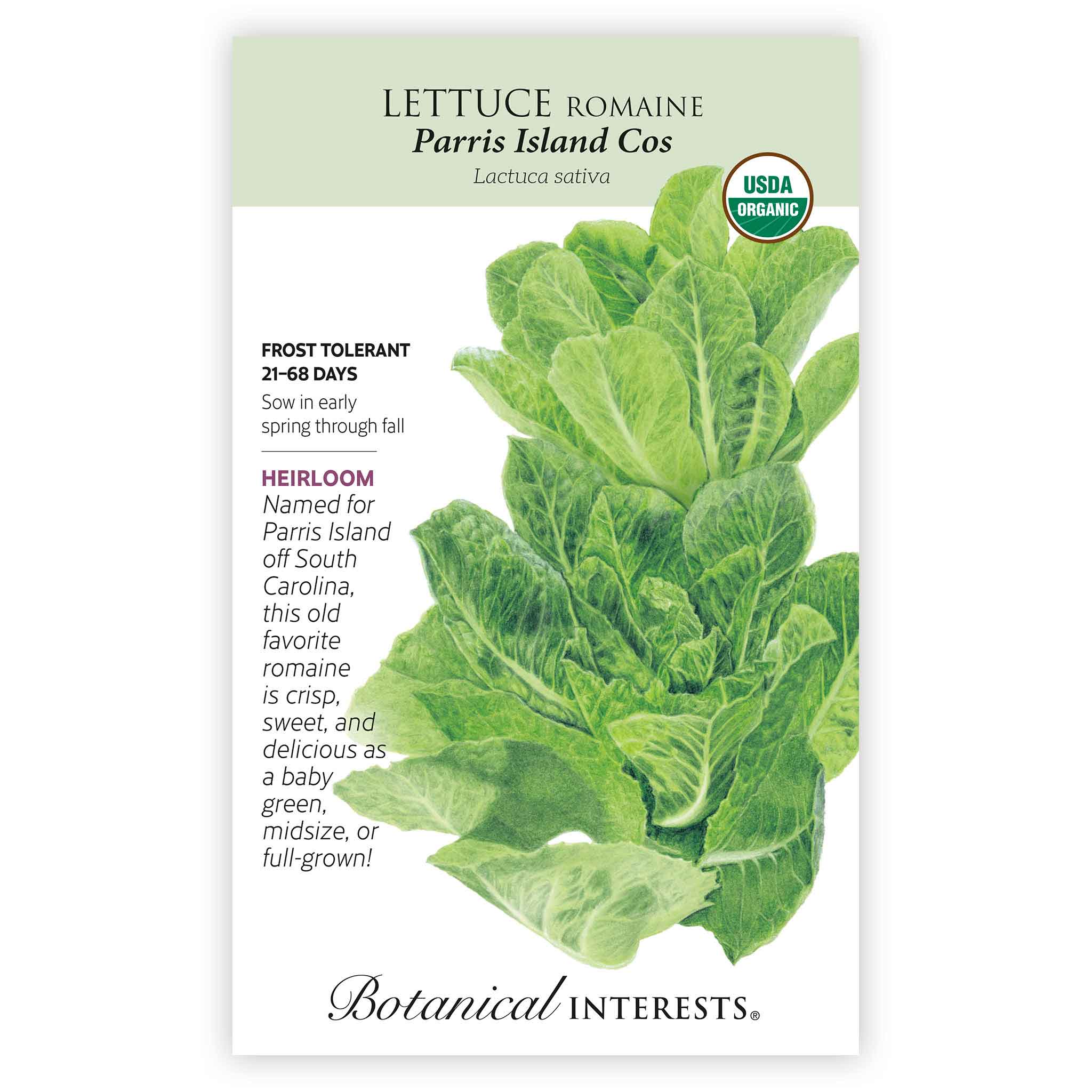 Lettuce Paris Island Cos Organic 4g seed packet photo
