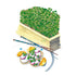 Microgreens Umami Asian Blend seed packet photo