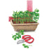 Baby Greens Pea Shoots seed packet photo