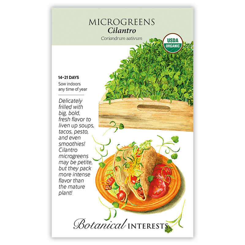 Microgreens Cilantro Santo Org Seed Packet