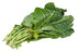 6 pack Collards plant photo