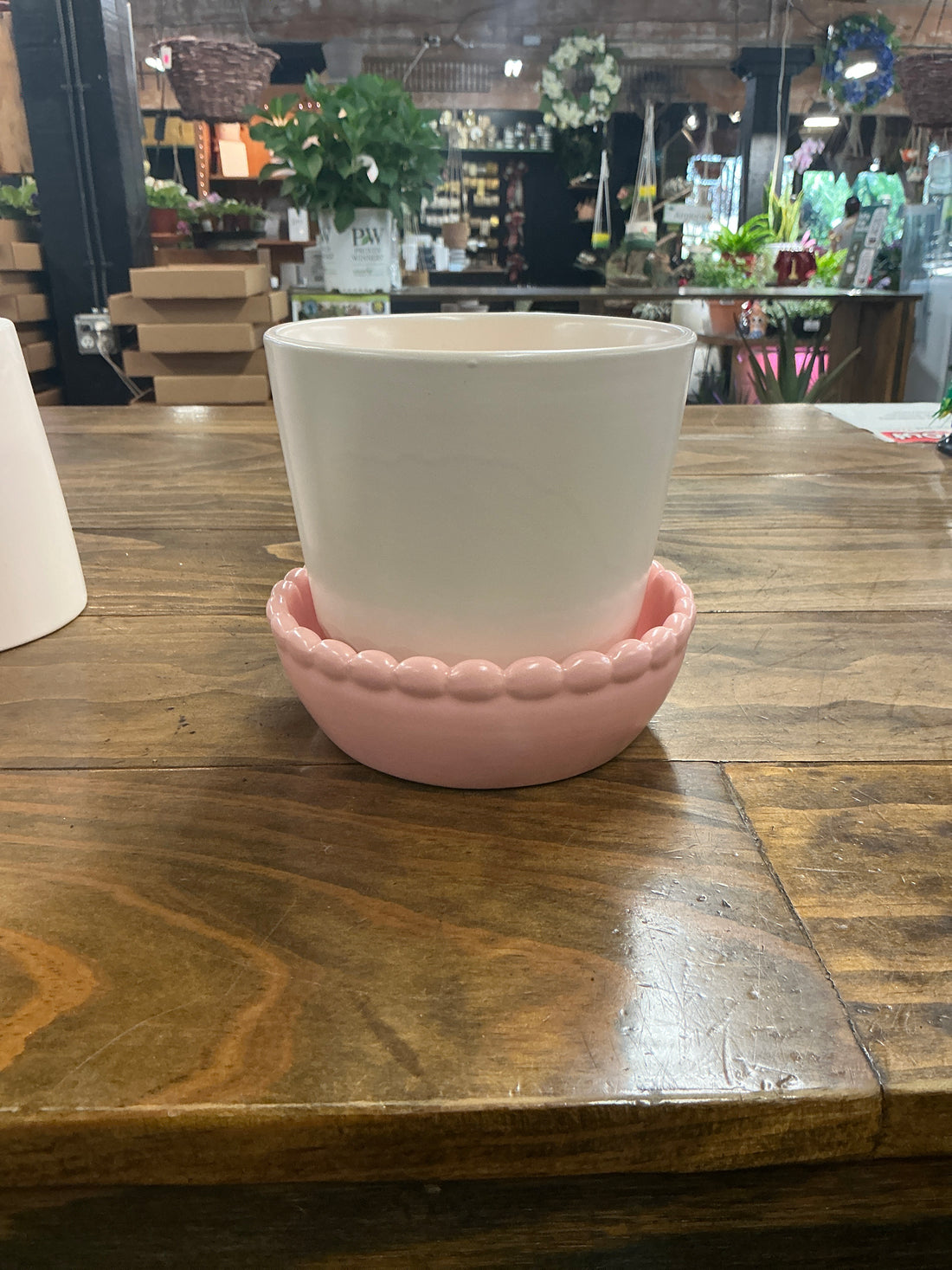 5” Springvale Pot w/ saucer