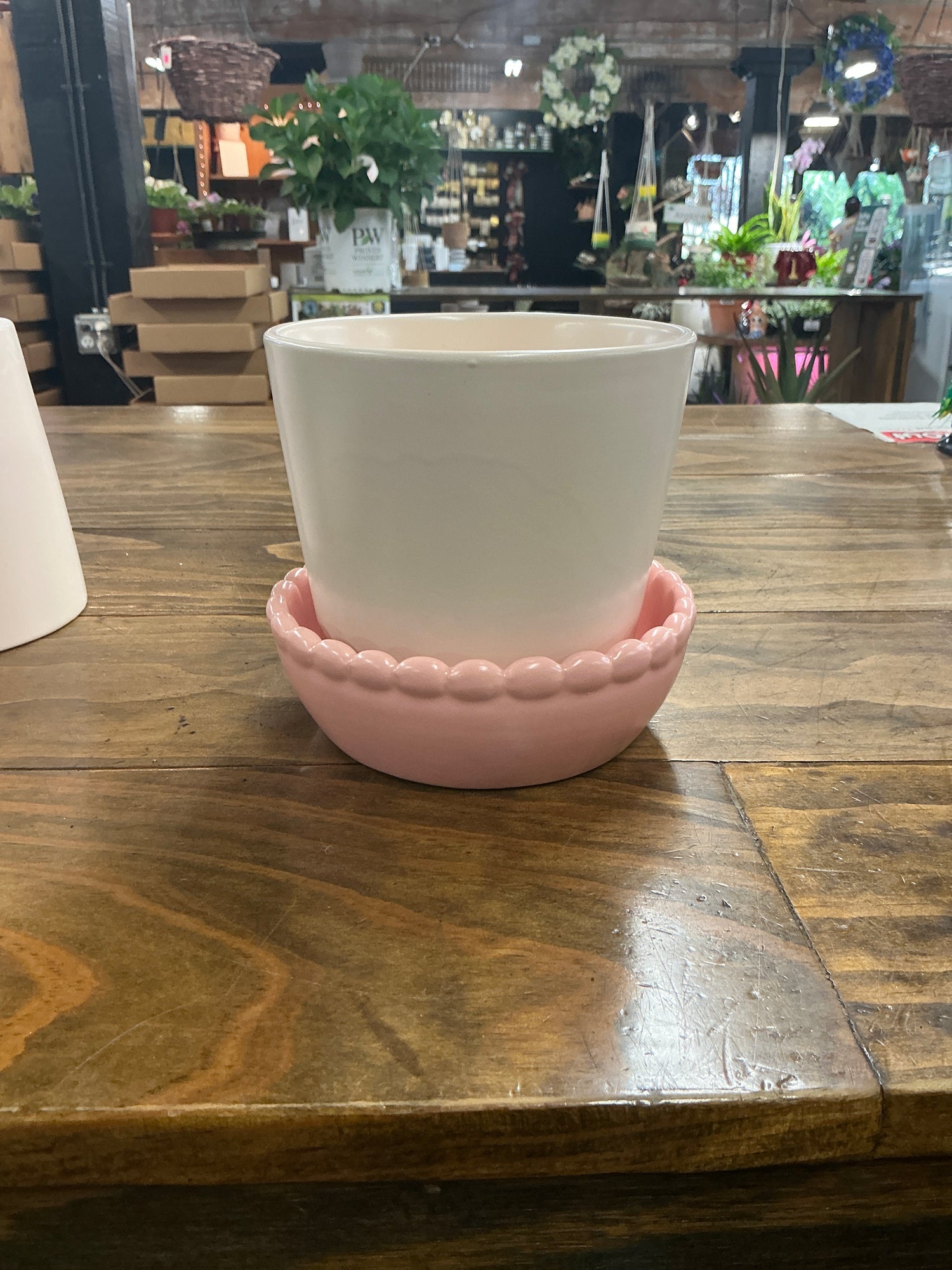 5” Springvale Pot w/ saucer