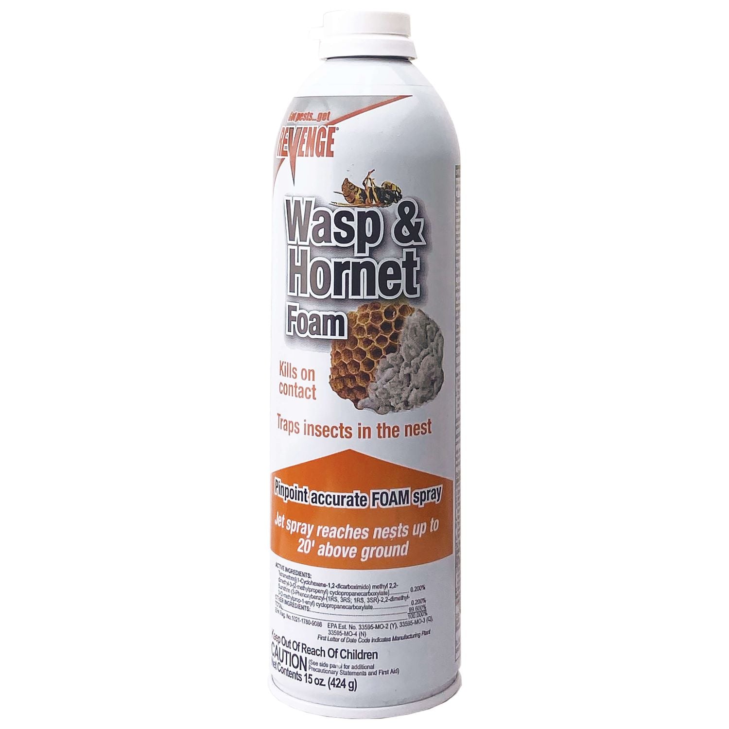 Wasp &amp; Hornet Killer 15 oz product photo