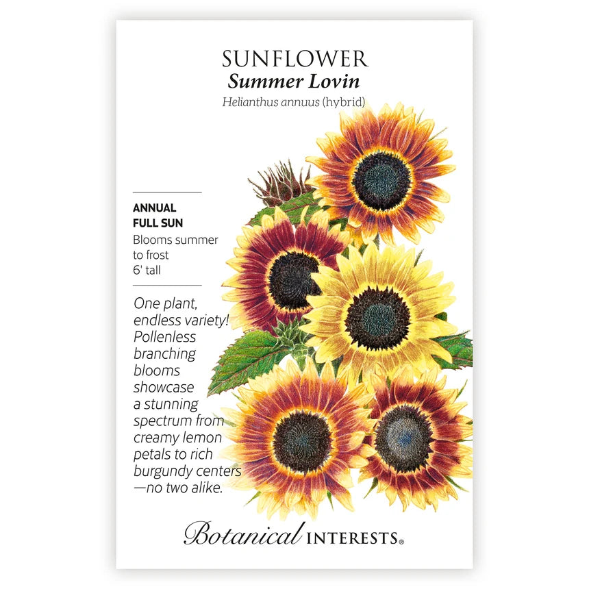 Sunflower Summer Lovin’ Seed Packet