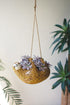 Ceramic Hanging Sloth Planter product photo