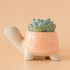 Jungle Club Turtle Pot Orange product photo