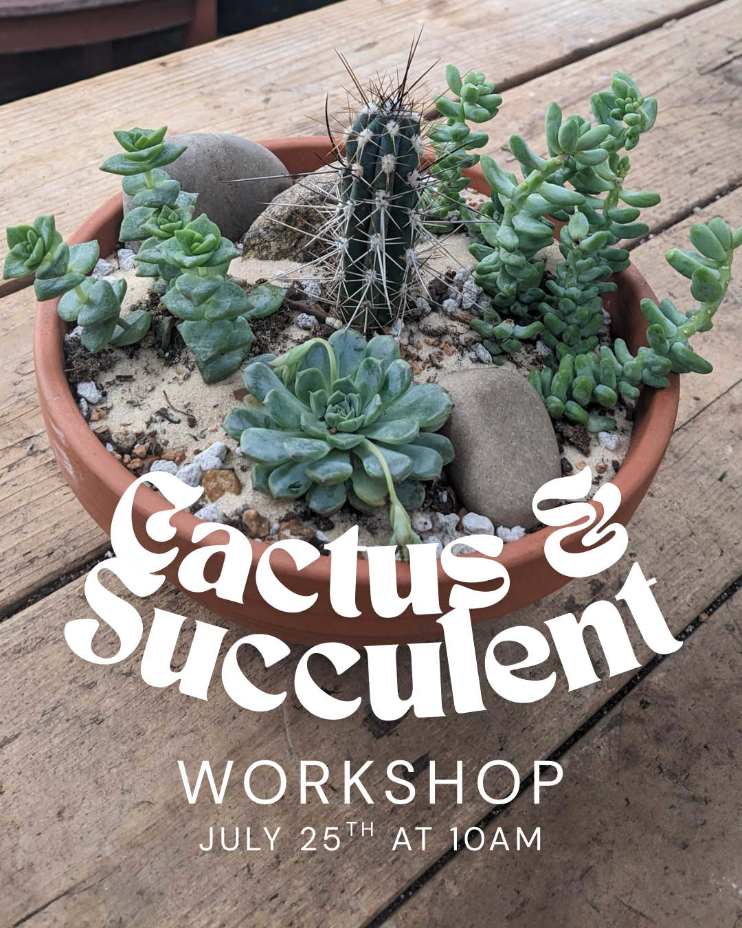 Cactus and Succulent Workshop ticket