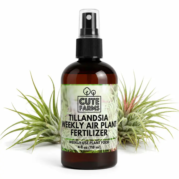 Cute Farms Air Plant Spray