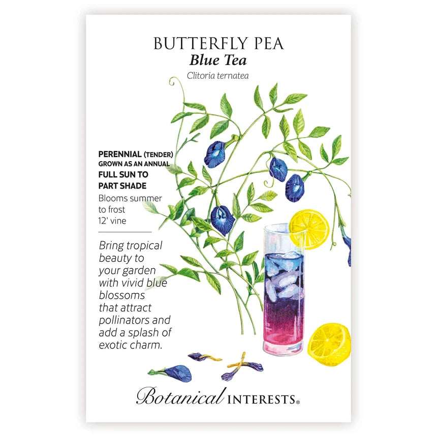 Butterfly Pea Blue Tea Seed Packet