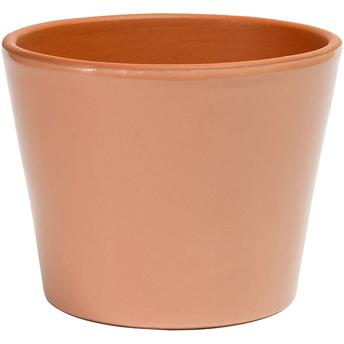 Deroma 9.3" cabo flower pot rose product photo